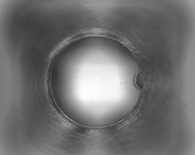 X0000073480341200608140822