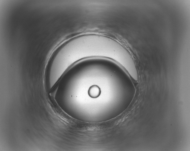 X0000073480344200608140822