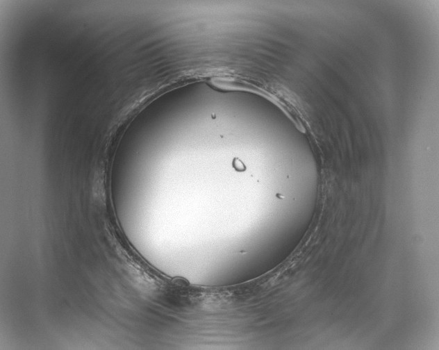 X0000073480345200608140822