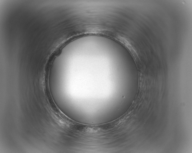 X0000073480346200608140822