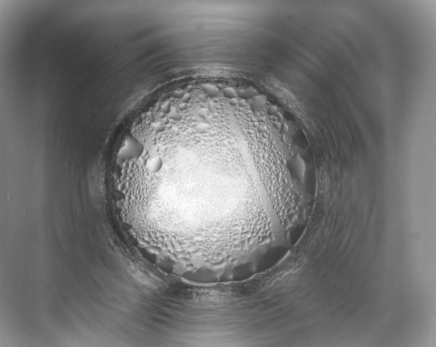 X0000073480347200608140822