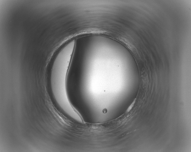 X0000073480350200608140822