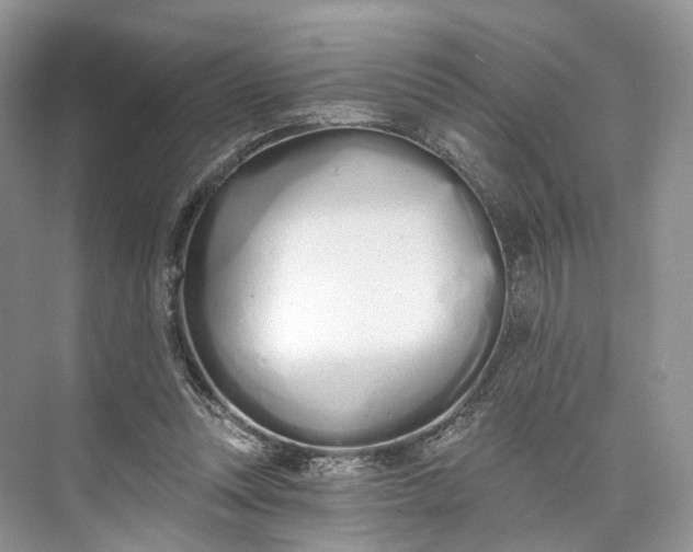 X0000073480351200608140822