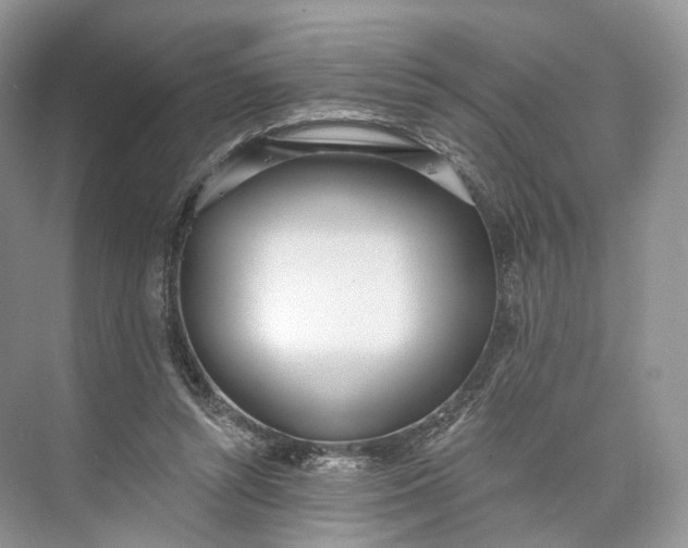 X0000073480352200608140822