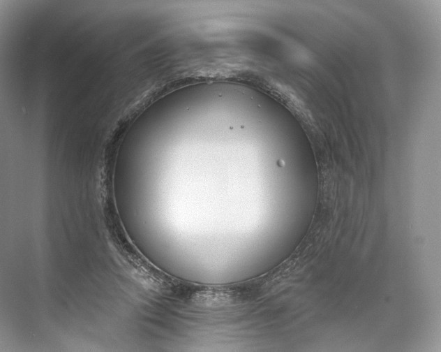 X0000073480354200608140822