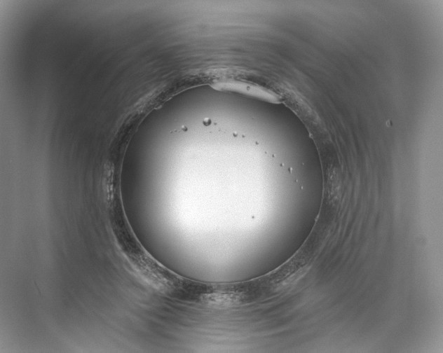 X0000073480356200608140822