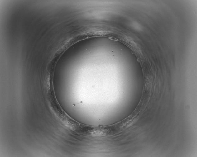 X0000073480358200608140822