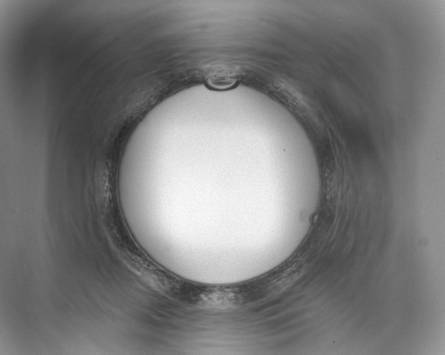 X0000073480362200608140822