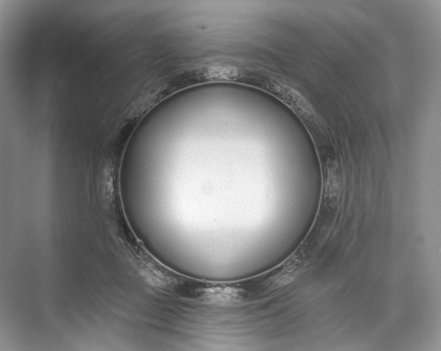 X0000073480363200608140822