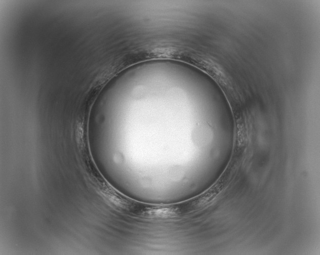 X0000073480365200608140822