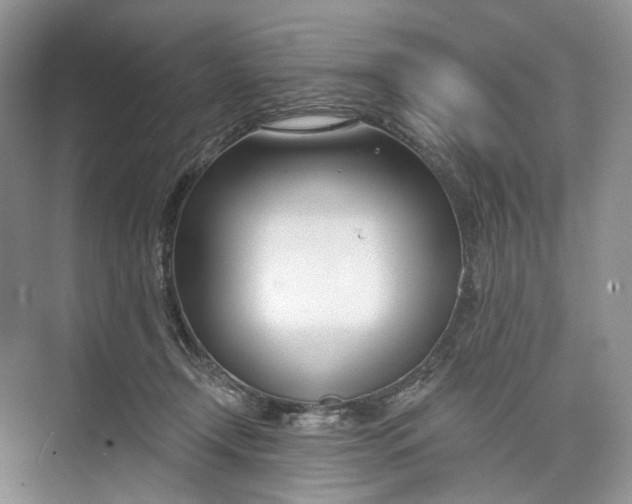 X0000073480366200608140822