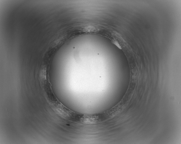 X0000073480368200608140822