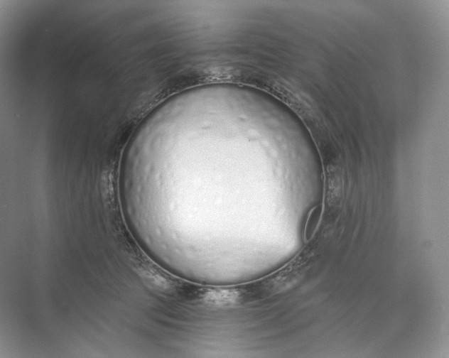 X0000073480369200608140822