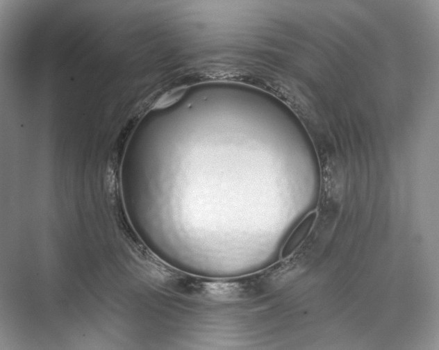 X0000073480371200608140822