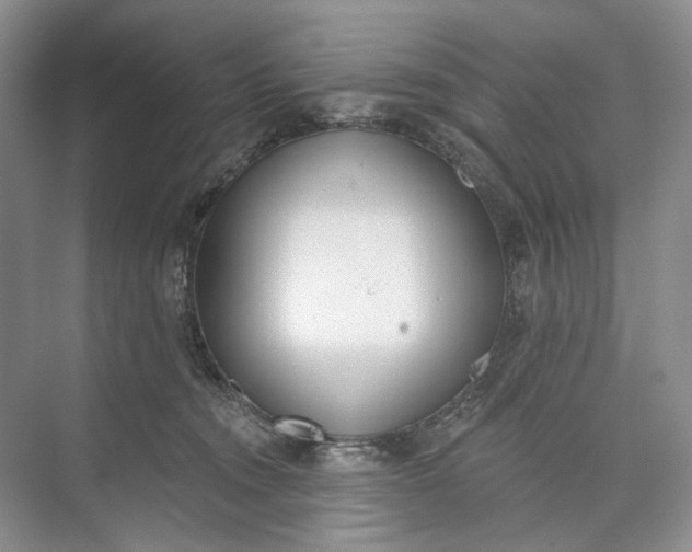 X0000073480372200608140822