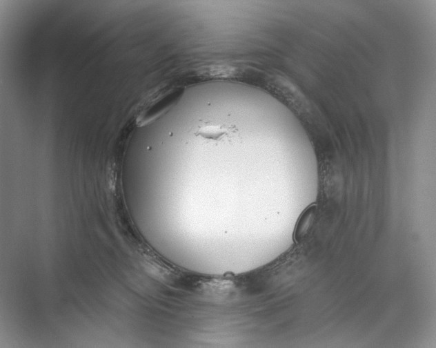 X0000073480374200608140822