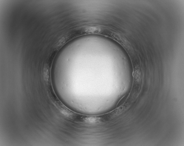 X0000073480375200608140822