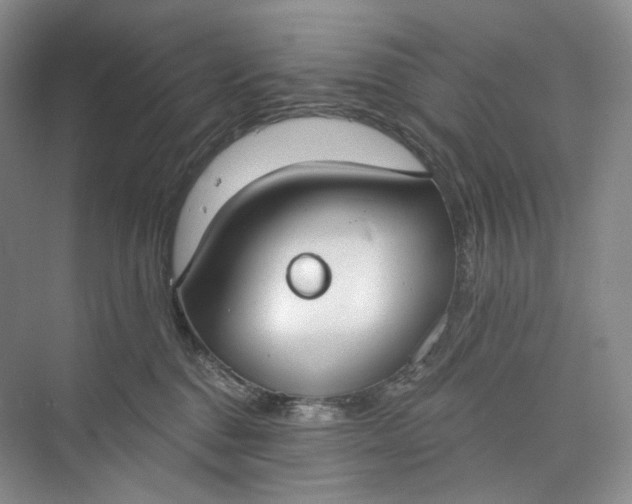 X0000073480376200608140822