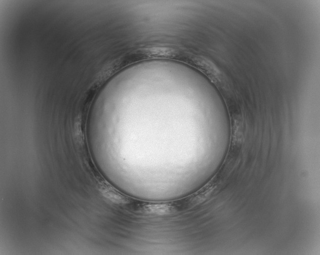 X0000073480377200608140822