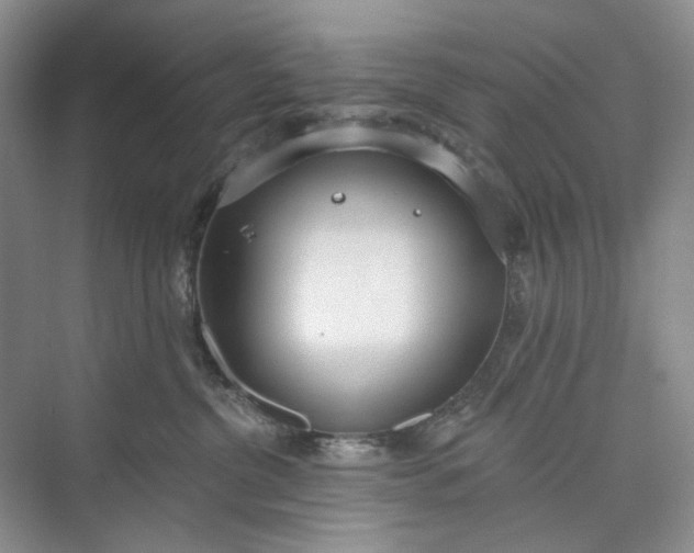 X0000073480380200608140822