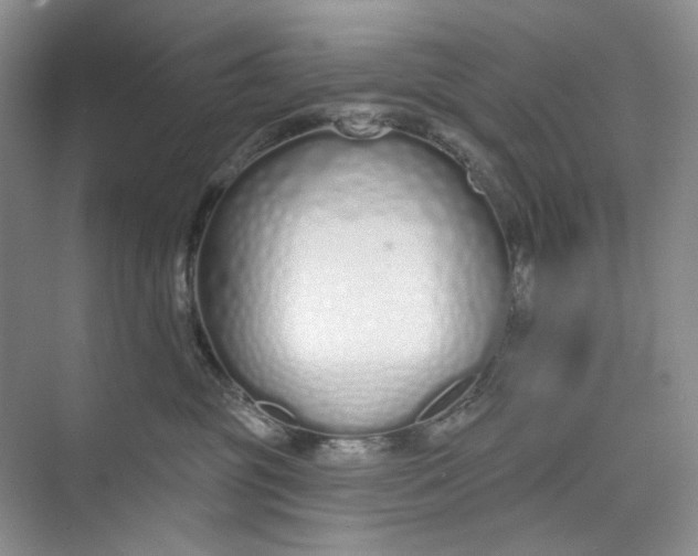 X0000073480381200608140822