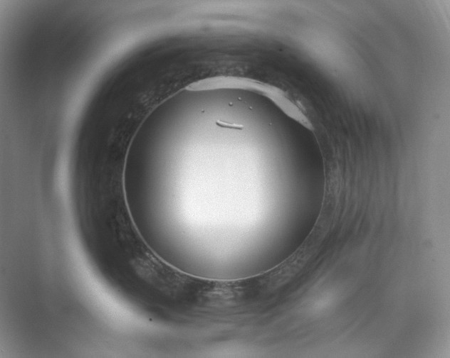 X0000073480383200608140822