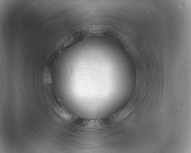 X0000073480384200608140822