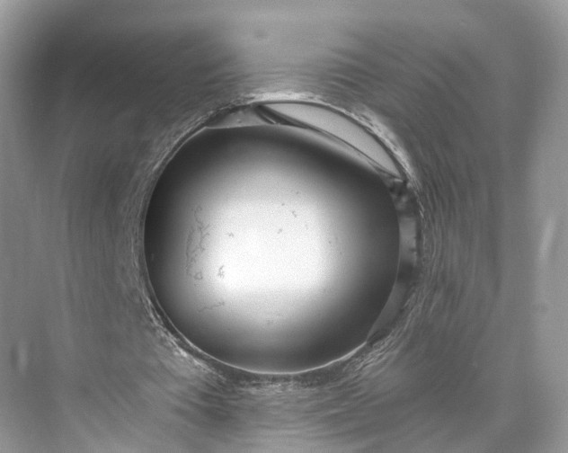 X0000073480385200608140822