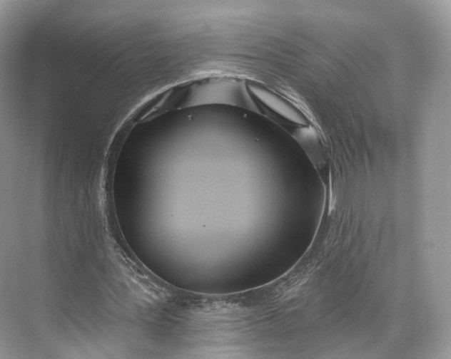 X0000073480387200608140822