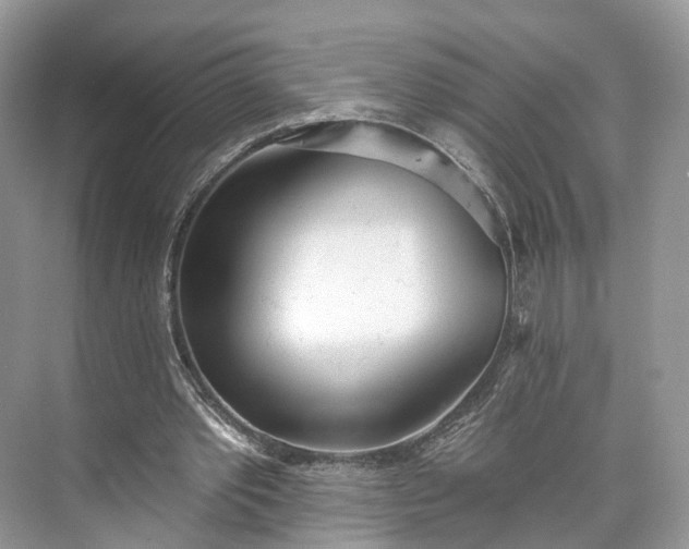 X0000073480389200608140822