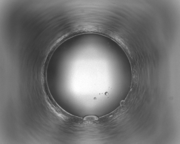 X0000073480390200608140822