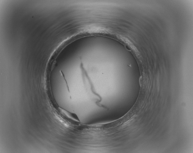 X0000073480391200608140822