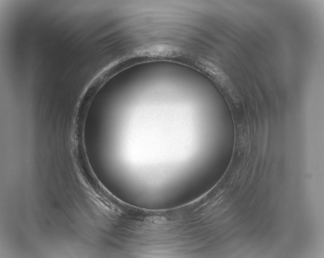 X0000073480392200608140822