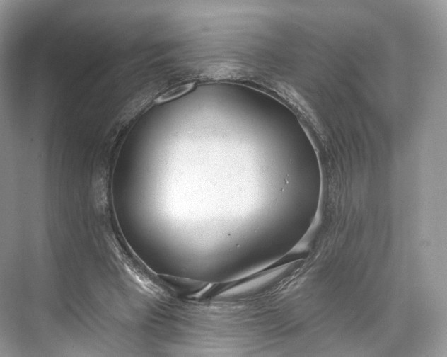 X0000073480393200608140822