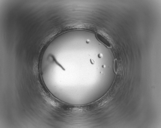 X0000073480394200608140821