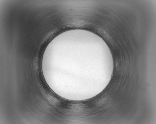 X0000073480396200608140821