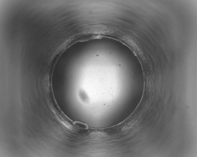 X0000073480397200608140821