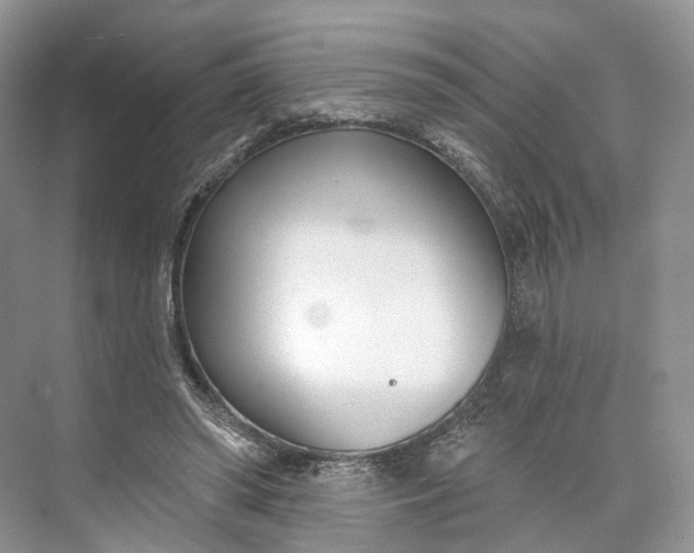 X0000073480398200608140821