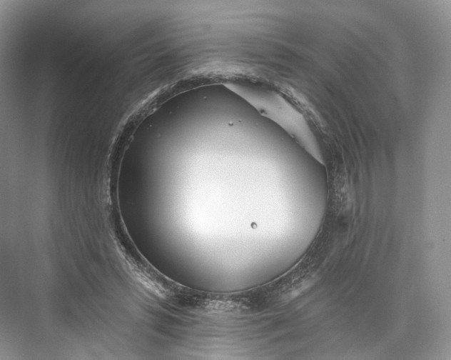 X0000073480399200608140821