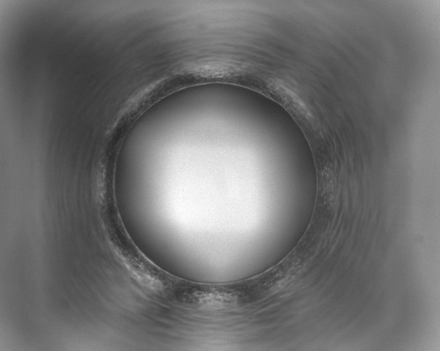 X0000073480400200608140821