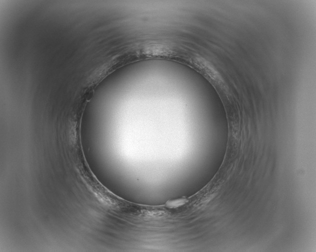 X0000073480401200608140821