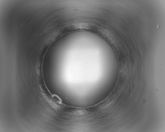 X0000073480402200608140821