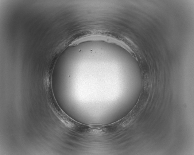 X0000073480405200608140821