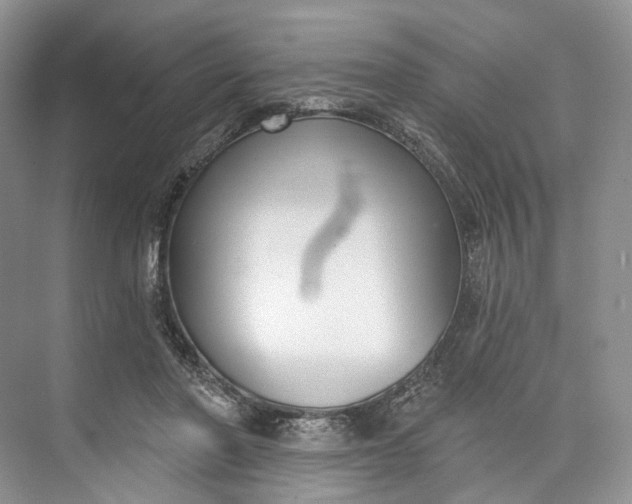 X0000073480406200608140821