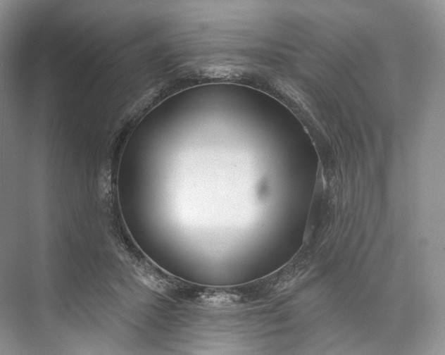 X0000073480407200608140821