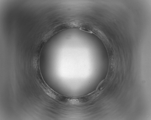 X0000073480409200608140821