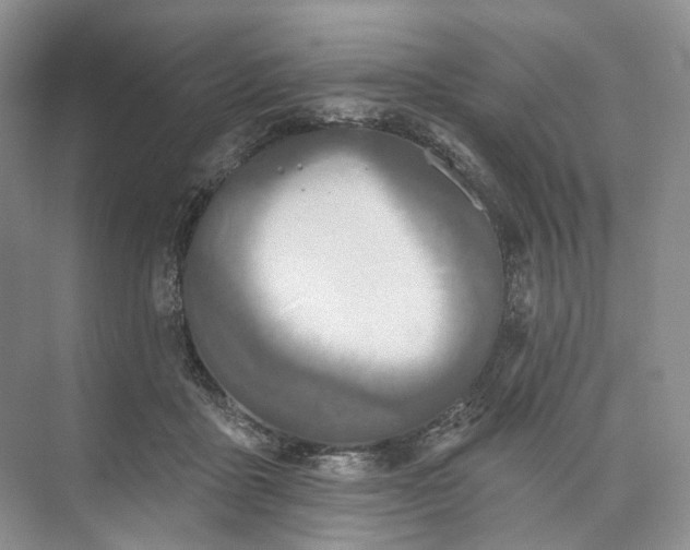 X0000073480411200608140821