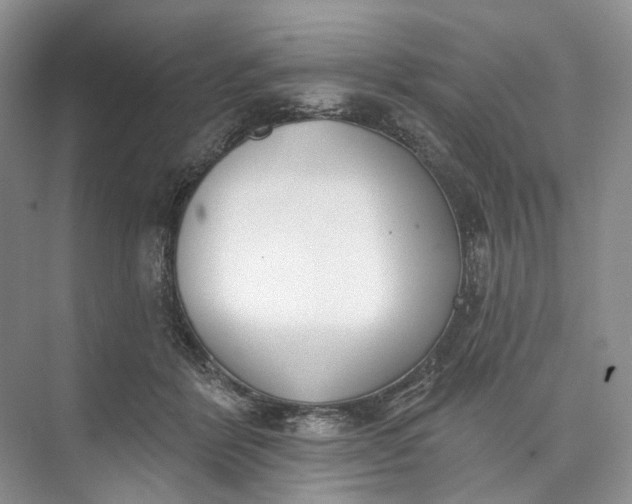 X0000073480412200608140821