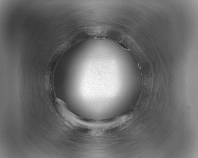 X0000073480416200608140821