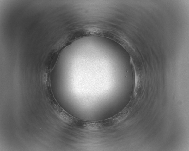 X0000073480417200608140821